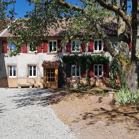 Le Jardin Des Gouttes Rougegoutte Exterior foto