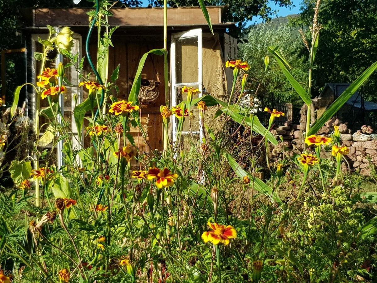 Le Jardin Des Gouttes Rougegoutte Exterior foto