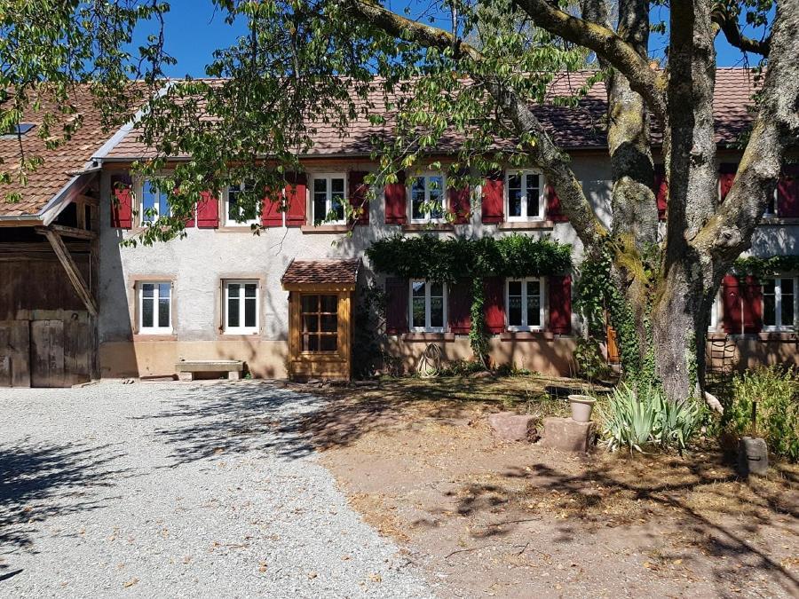 Le Jardin Des Gouttes Rougegoutte Exterior foto